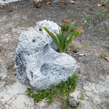 Parque Nacional Tulum - Interesting plants and rock formations. - Parks Near Me - Tulum, ROO