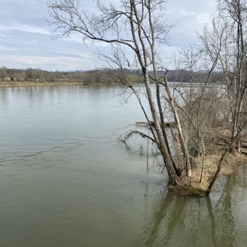 Seven Islands State Birding Park - View looking east from the bridge. - Hiking Near Me - Kodak, Tennessee Seven Islands State Birding Park - View looking east from the bridge. - Hiking Near Me - Kodak, Tennessee