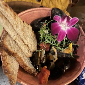 Tortuga y Chango - Mejillones - Cocktail Bars Near Me - Decatur, Georgia