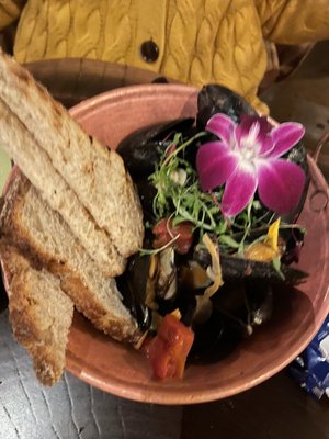 Tortuga y Chango by null