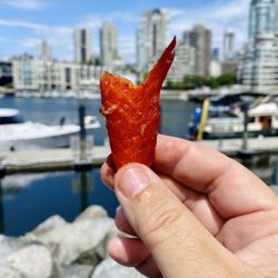 Candied salmon