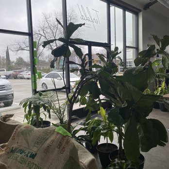 Tenfold Coffee - views - Coffee & Tea Near Me - Houston, Texas Tenfold Coffee - views - Coffee & Tea Near Me - Houston, Texas