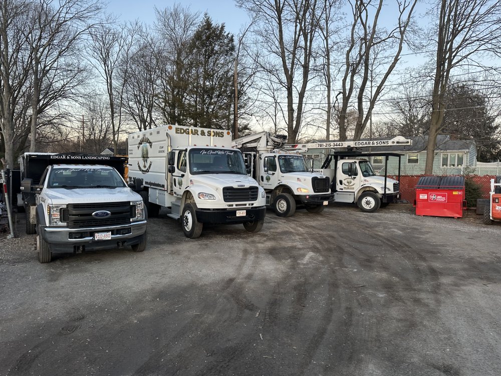 Edgar and Sons - tree service in Peabody , MA