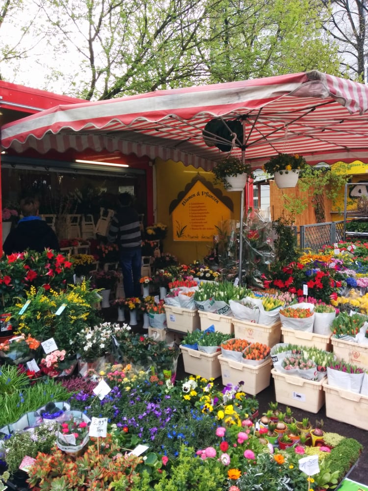 BLUMEN & PFLANZEN Updated July 2024 Treskowallee 107, Berlin, Germany Florists Yelp