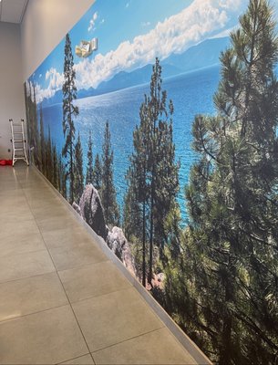 Wall Murals - Our Wall murals are a great way to advertise an illustration or promote a business on a wall. We install vinyl graphics on walls and accustomed to customers request in sizing, measurements, and customizations!￼￼￼￼