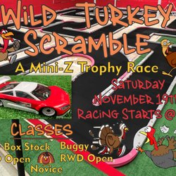 NeThingRC - A Mini-Z Trophy Race! We will have 5 Classes Competing for Trophies RWD Box Stock, AWD Open, RWD Open, Buggy and Novice! 1st, 2nd and 3rd