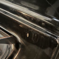 Renaissance Management Group - Mouse feces in stove