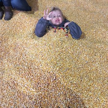 Hee Haw Farms - Attraction Farms Near Me - Pleasant Grove, Utah