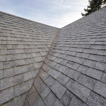 Dialed Handyman - Roof cleaning - Handyman Near Me - Vancouver, Washington Dialed Handyman - Roof cleaning - Handyman Near Me - Vancouver, Washington