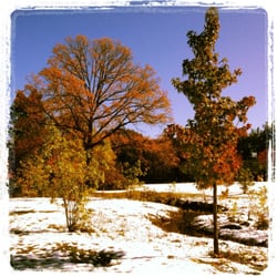 Warinanco Park - Great for photo shoots