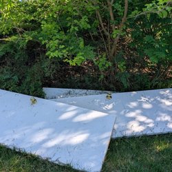 DMV Cleanout Crew - Doors found in bushes.