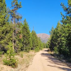 State Forest State Park