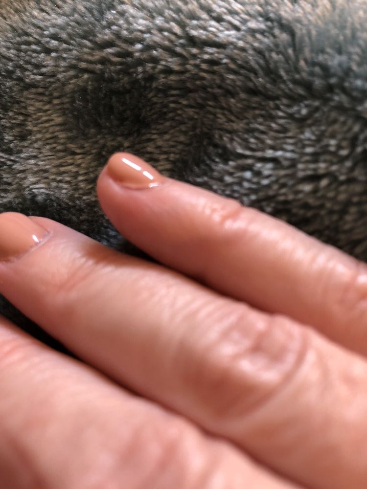 PARADISE NAIL - 12 Reviews - Nail Salons - 3500 Villa Pt, Owensboro, KY