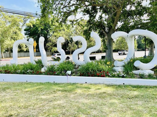 California State University, Northridge by null