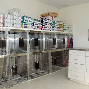 Advanced Veterinary Care - Dog Kennel - Veterinarians Near Me - Farmington, Connecticut Advanced Veterinary Care - Dog Kennel - Veterinarians Near Me - Farmington, Connecticut