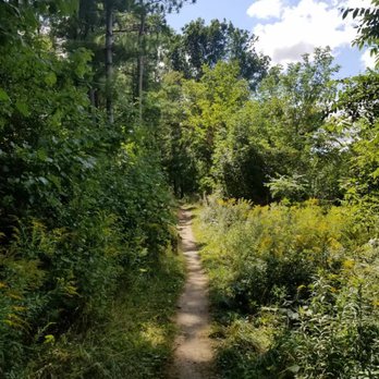 Doon Regional Forest - Parks Near Me - Kitchener, Ontario Doon Regional Forest - Parks Near Me - Kitchener, Ontario
