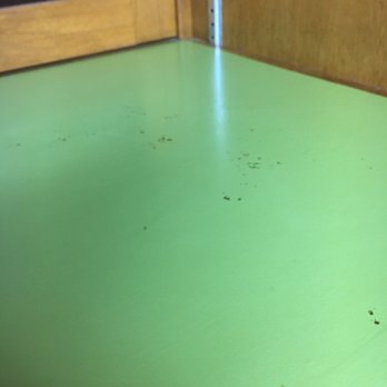 AS Cleaning Service - Cabinets " cleaned" - Home Cleaning Near Me AS Cleaning Service - Cabinets " cleaned" - Home Cleaning Near Me