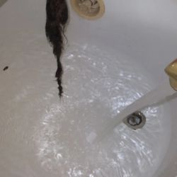 Joeys Unstop Drain Service