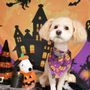 Photo of Barks N Bubbles Pet Grooming
