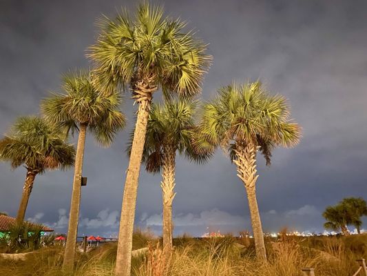 Golden Nugget Lake Charles Hotel & Casino by null
