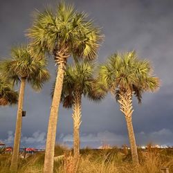 Golden Nugget Lake Charles Hotel & Casino - The beach behind the nugget