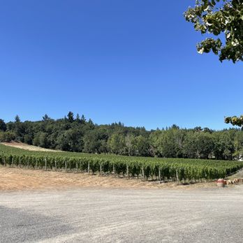 Cristom Vineyards - Wineries Near Me - Salem, Oregon Cristom Vineyards - Wineries Near Me - Salem, Oregon