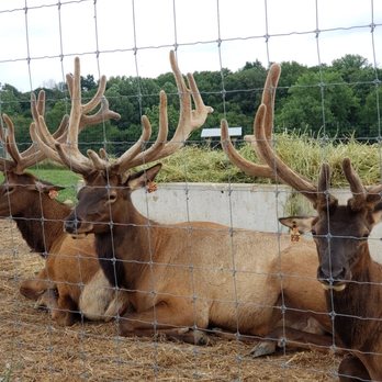 Quiet Harmony Ranch - Tours Near Me - New Paris, Ohio