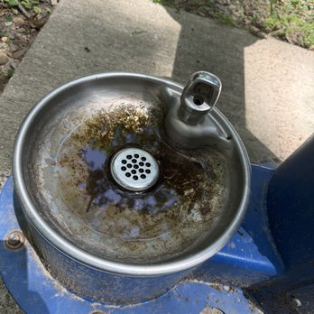 Big Cypress Tree State Park - broken dirty refillable dog water bowl - Hiking Near Me - Greenfield, Tennessee