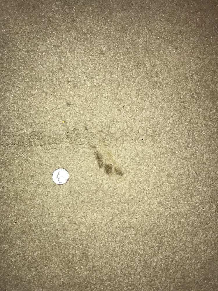 Slide of US Plumbing Heating & Air Conditioning