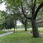 Photo of Pearson Springs Park