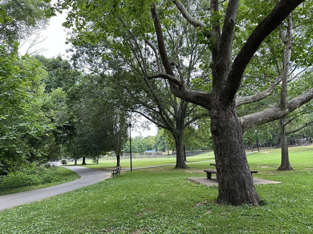 Pearson Springs Park Logo