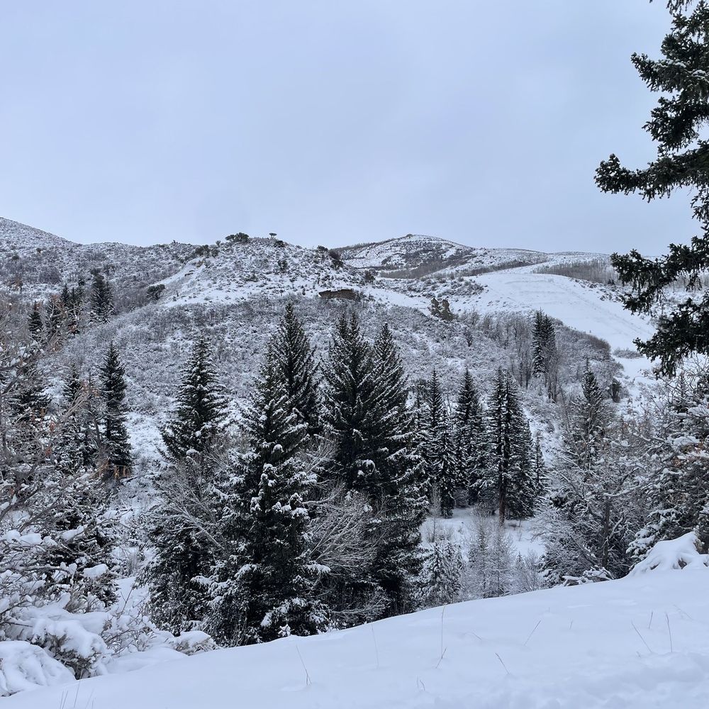 Utah mountains and snow, skimobile trails Utah mountains and snow, skimobile trails