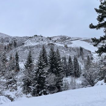 Backcountry Snowmobiling - Utah mountains and snow, skimobile trails - Tours Near Me - Coalville, Utah Backcountry Snowmobiling - Utah mountains and snow, skimobile trails - Tours Near Me - Coalville, Utah