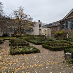 Rosengarten am Stadtmuseum - Rosengarten am Stadtmuseum, Düsseldorf