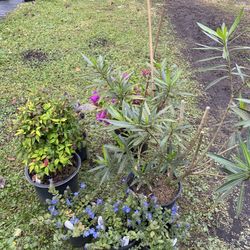 Propagate Happiness - Some of what we purchased