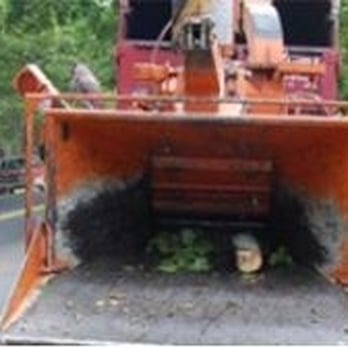 A Cut Above Tree Care Services - Tree Services Near Me - Bergenfield, New Jersey A Cut Above Tree Care Services - Tree Services Near Me - Bergenfield, New Jersey