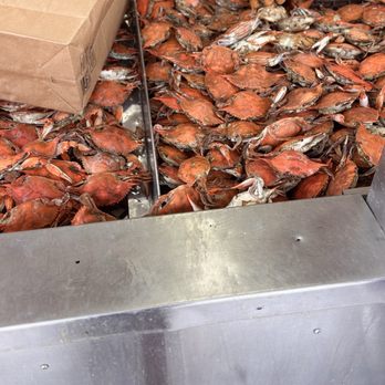Jessie Taylor Seafood - Seafood Markets Near Me - Washington, DC, District of Columbia Jessie Taylor Seafood - Seafood Markets Near Me - Washington, DC, District of Columbia