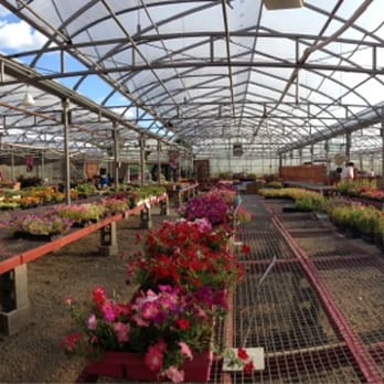 Siebenthaler's Garden Center - Checking out where Tim works. - Nurseries & Gardening Near Me - Dayton, Ohio Siebenthaler's Garden Center - Checking out where Tim works. - Nurseries & Gardening Near Me - Dayton, Ohio