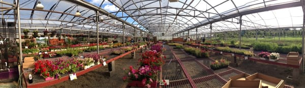 SIEBENTHALER’S GARDEN CENTER - Updated April 2026 - 11 Reviews - 2074 ...
