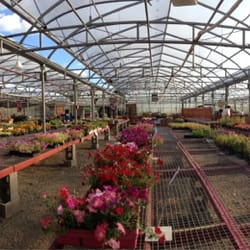 Siebenthaler's Garden Center - Checking out where Tim works.