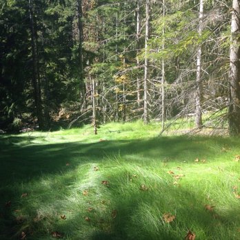 Silver Falls - Cool grassy meadow near the hot springs on the Silver Falls trail - Hiking Near Me - Randle, Washington