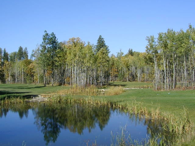 Wildwedge Golf & RV Park Logo