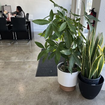 Options Insurance Services - Inside the office - Insurance Near Me - Rosemead, California Options Insurance Services - Inside the office - Insurance Near Me - Rosemead, California