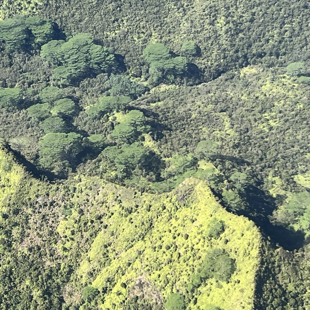 Air Ventures Hawaii - Aerial Tours Near Me - Lihue, Hawaii Air Ventures Hawaii - Aerial Tours Near Me - Lihue, Hawaii