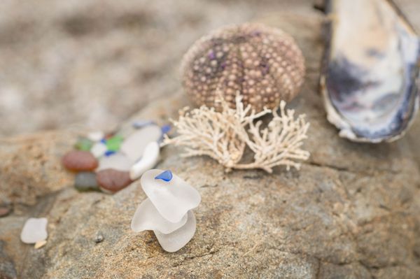 Glass Beach by null