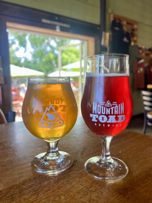 Mountain Toad Brewing by null