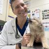 Pasadena Veterinary Hospital & Laser Center gift card