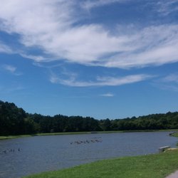 Marguerite H Brown Municipal Center-Goose Creek - Behind the municipality is a pretty recreational area.
