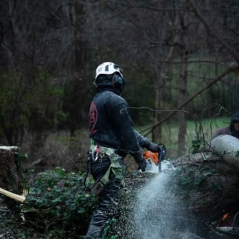 JB Tree Service - JB Tree Service - Tree Services Near Me - La Vergne, Tennessee JB Tree Service - JB Tree Service - Tree Services Near Me - La Vergne, Tennessee