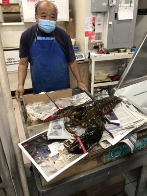 Da Seafood Store by null